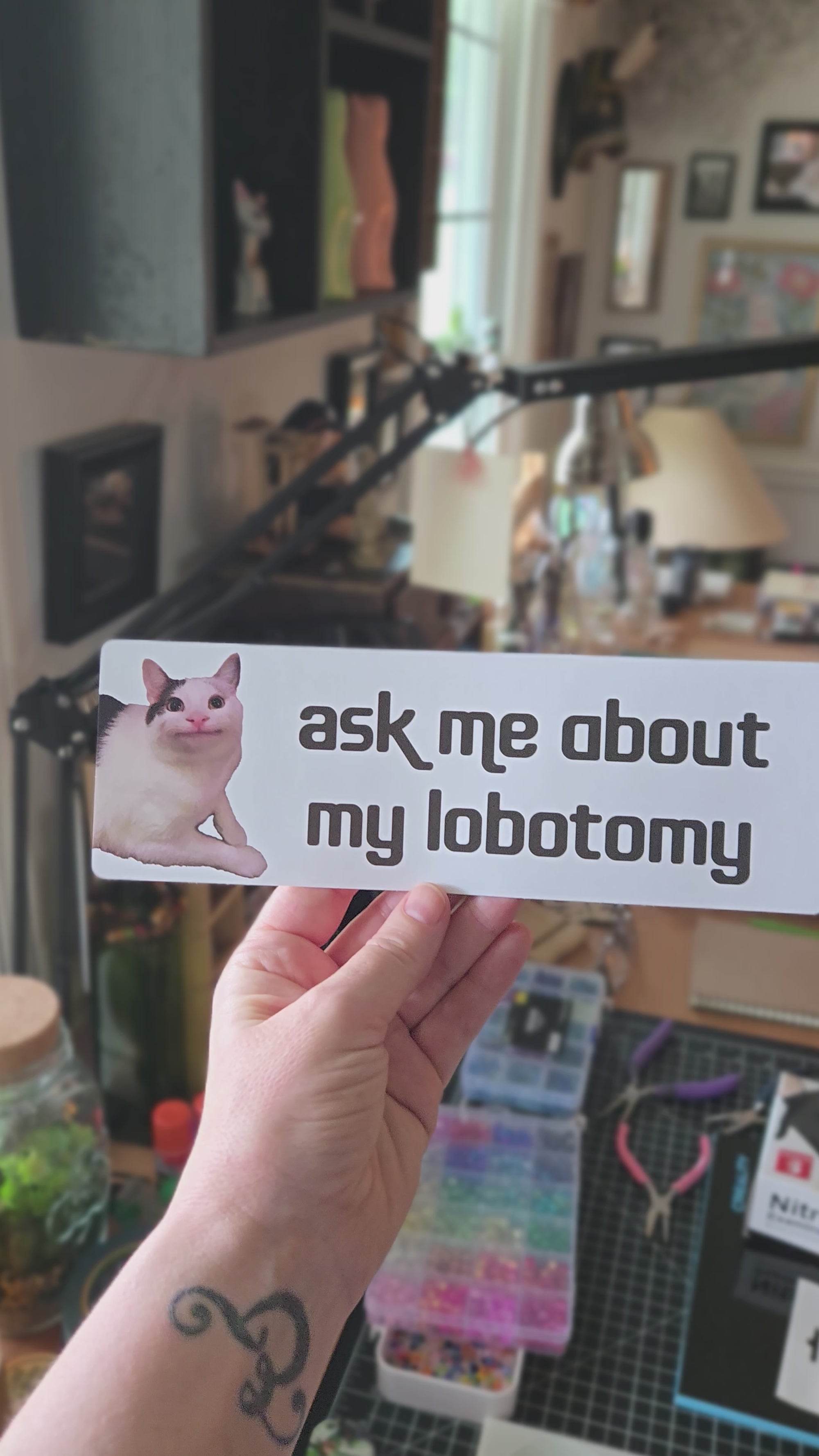 White rectangular bumper sticker featuring a calm white and gray cat on the left with dark gray text that says “ask me about my lobotomy.”