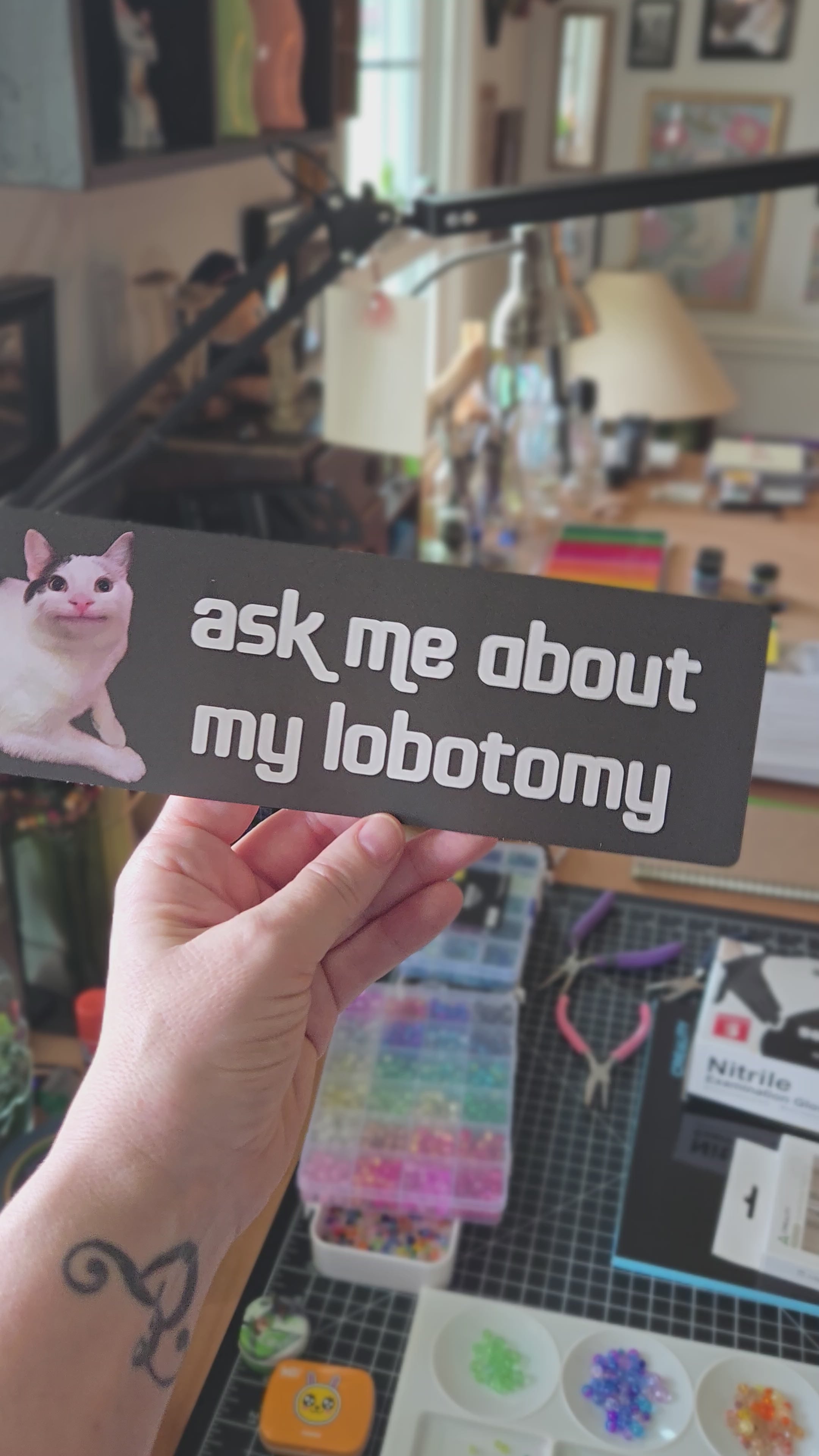 Dark gray rectangular bumper sticker featuring a calm white and gray cat on the left with cream text that says “ask me about my lobotomy.”