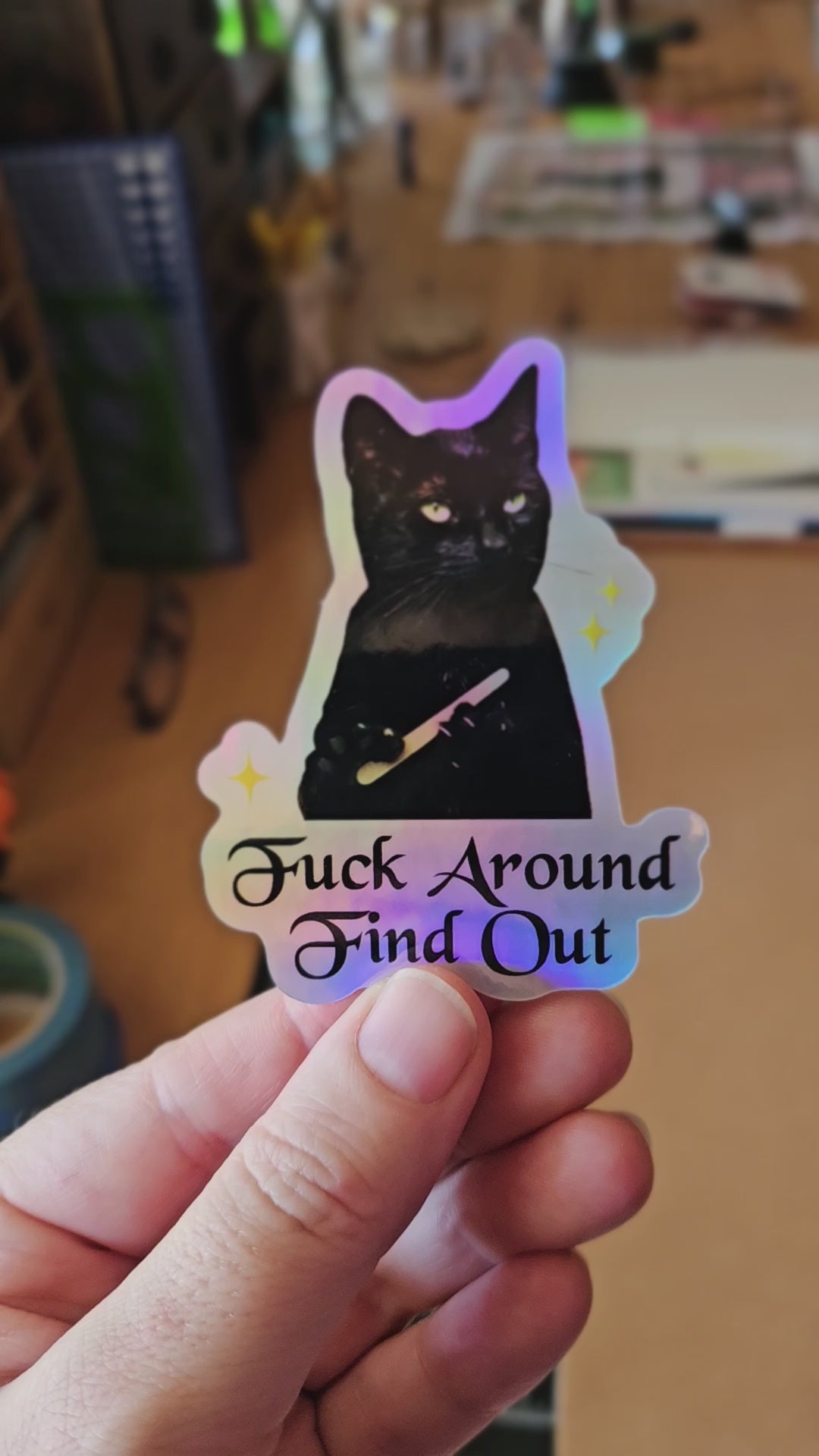 die cut “Fuck Around Find Out” vinyl sticker featuring a serious black cat holding up one tiny middle finger, shown in white and holographic options.
