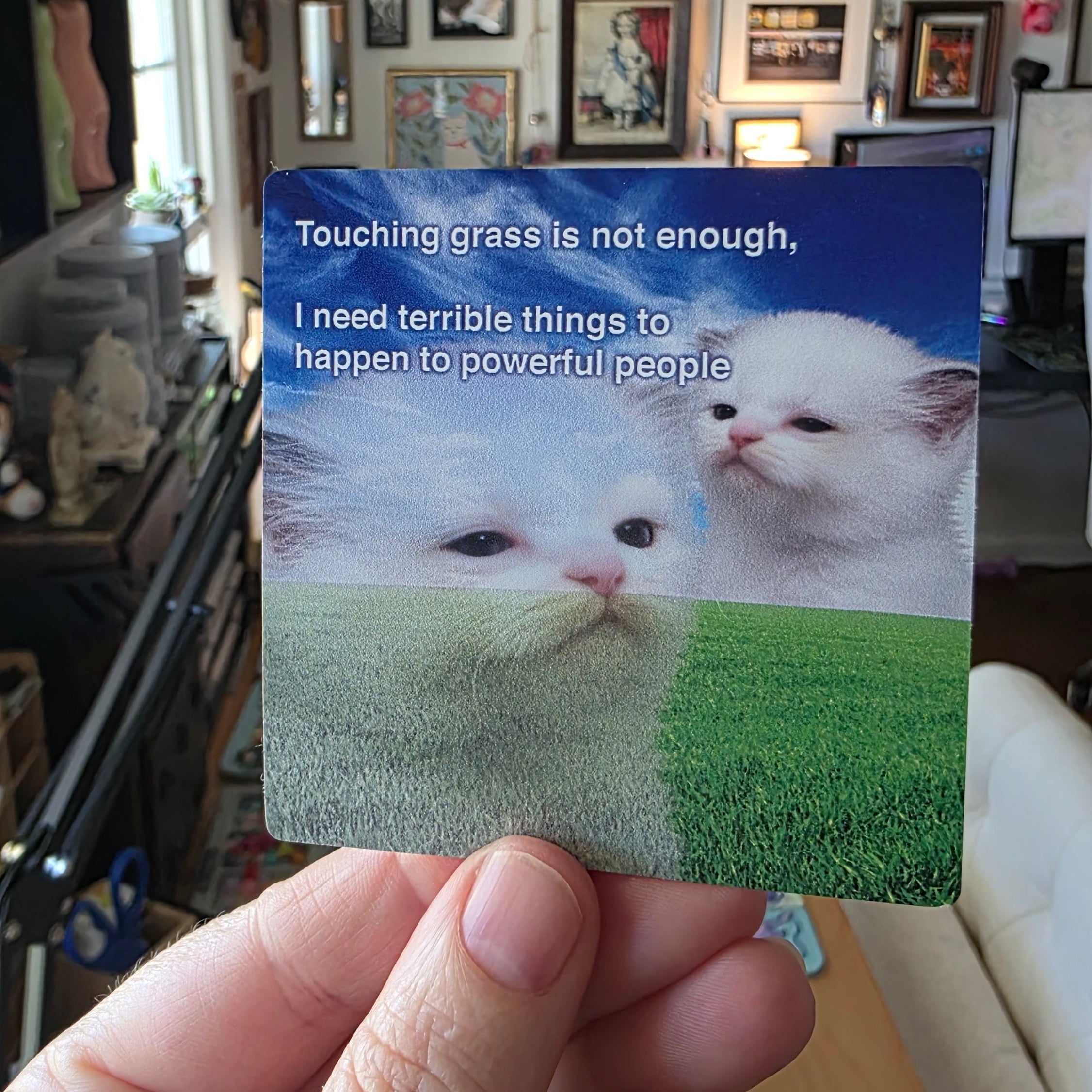 Hand holding a card with two white cats on a grassy background in a room with framed pictures on the wall.