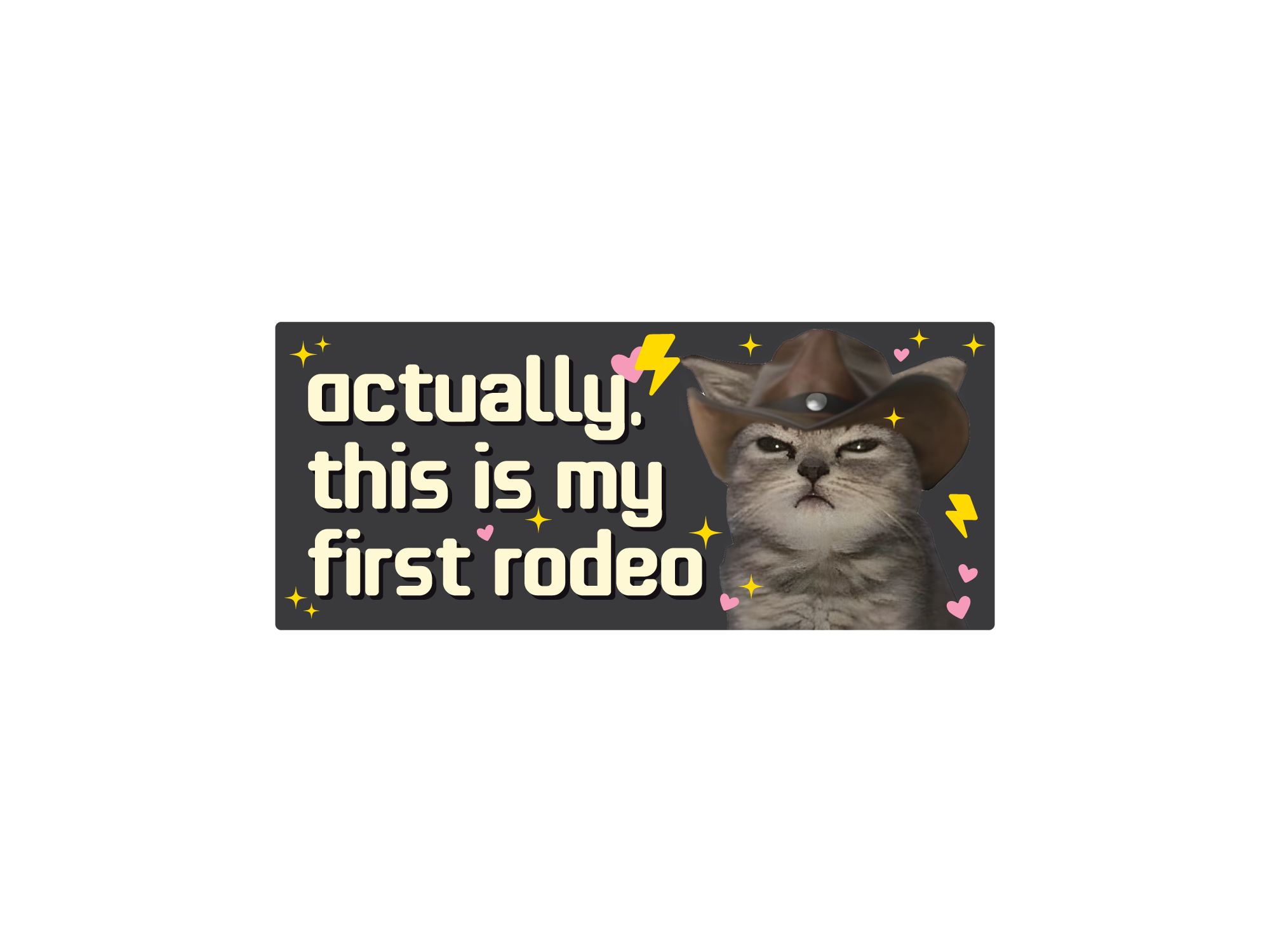 rectangular “Actually, This Is My First Rodeo” bumper stickers with a serious cowboy cat, hearts, sparkles, and lightning bolts.
