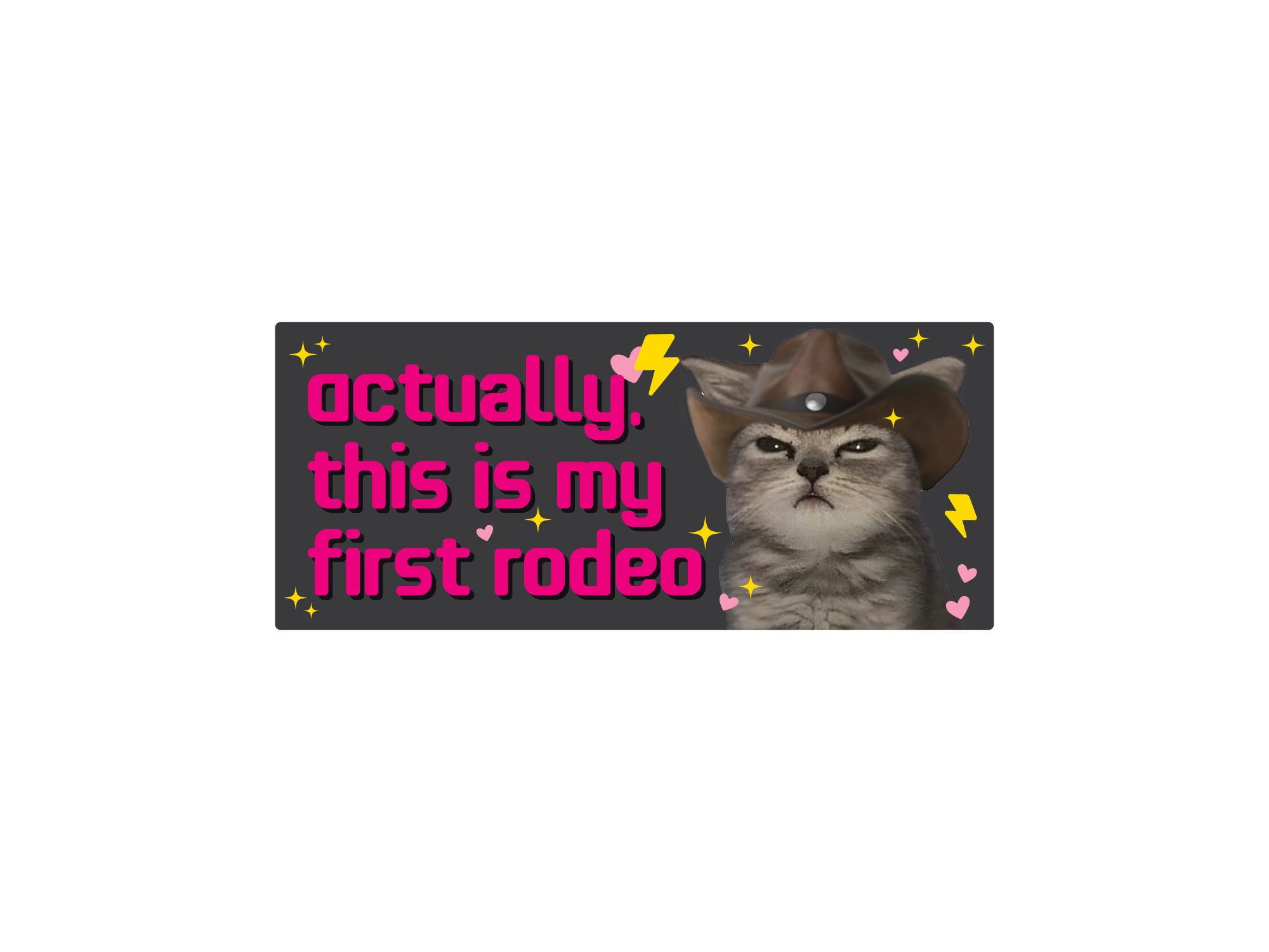 rectangular “Actually, This Is My First Rodeo” bumper stickers with a serious cowboy cat, hearts, sparkles, and lightning bolts.
