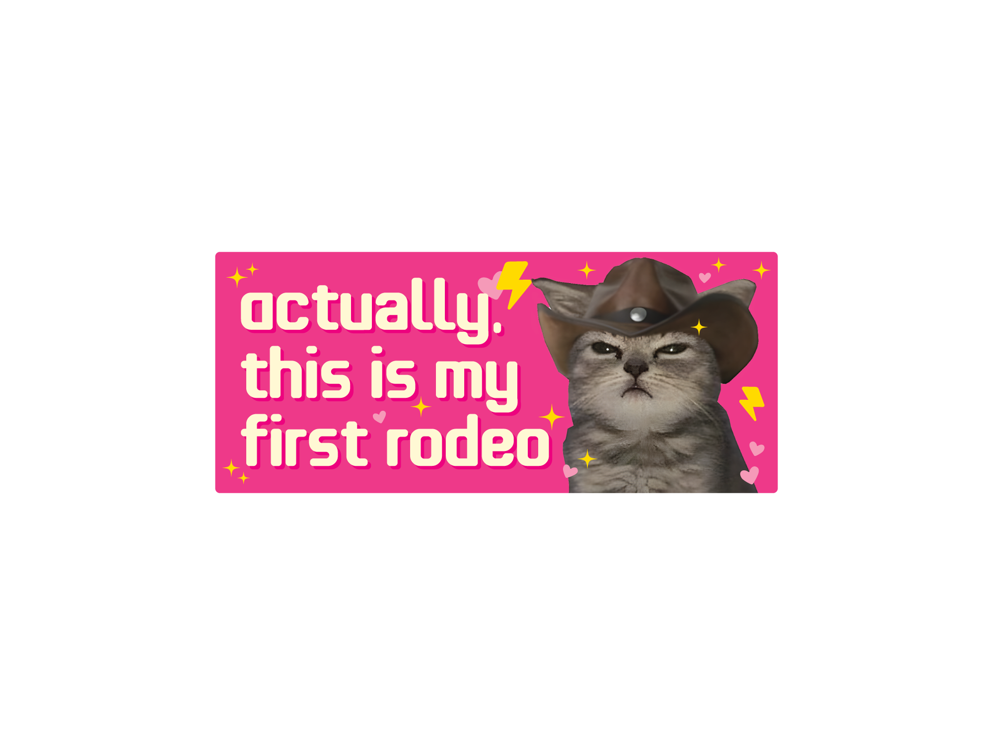 rectangular “Actually, This Is My First Rodeo” bumper stickers with a serious cowboy cat, hearts, sparkles, and lightning bolts.
