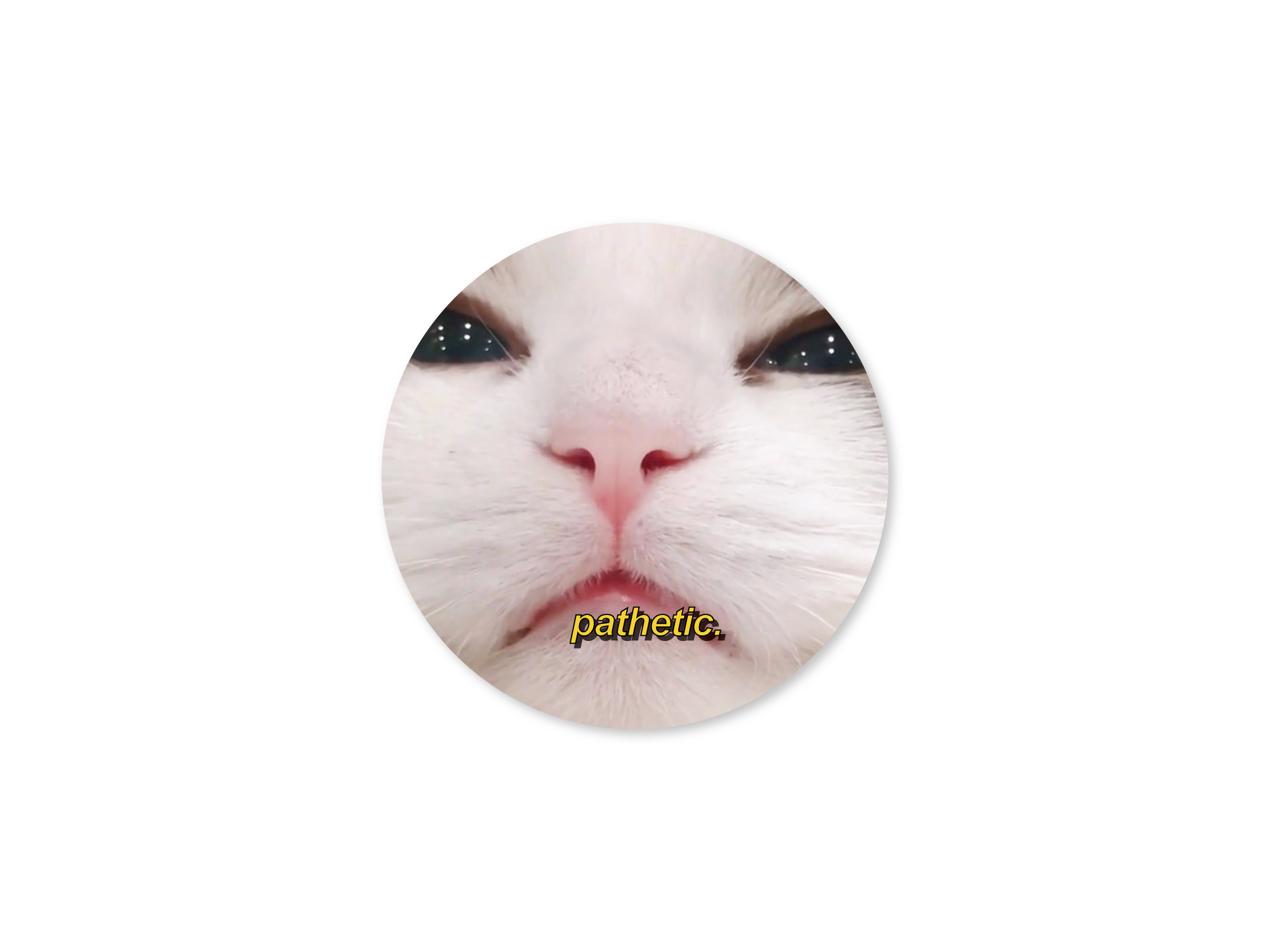 A sticker with a photo of a cat's face with the word 'pathetic.' printed across the bottom.