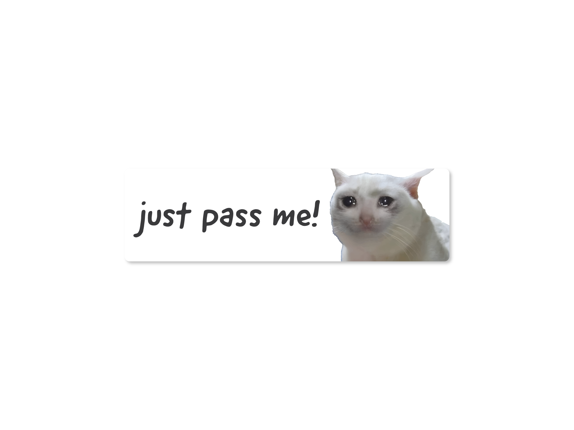 A bumper stickers with the text 'just pass me!' and an image of a white sad cat