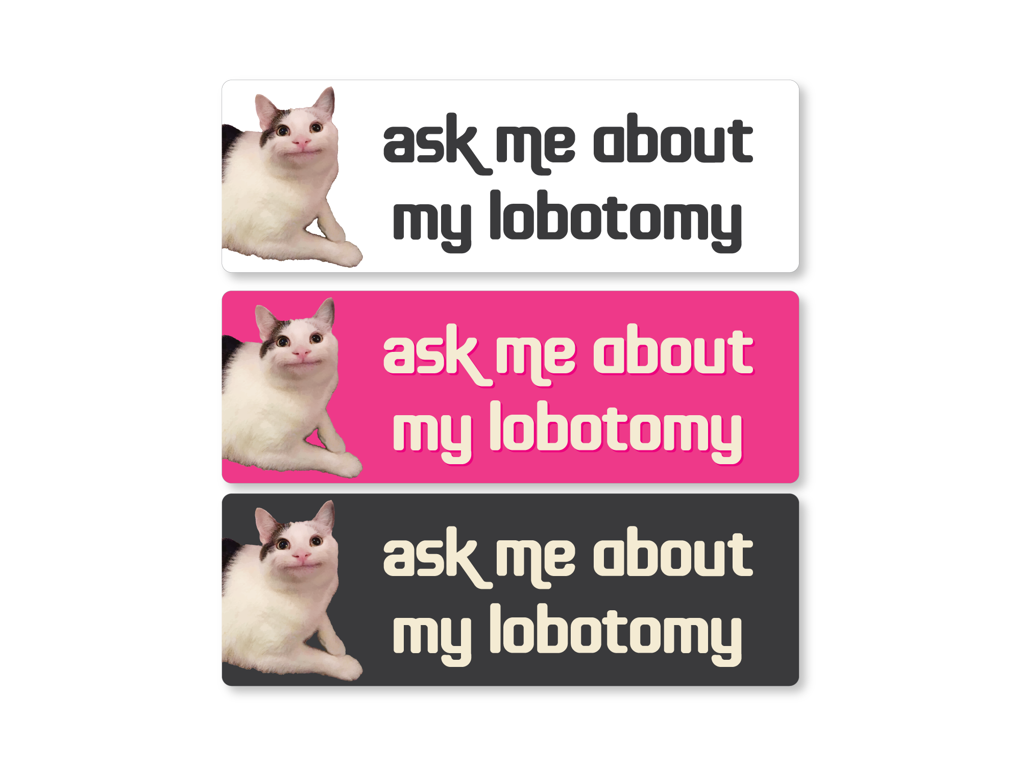 Three stickers with a cat and text 'ask me about my lobotomy' on different colored backgrounds.
