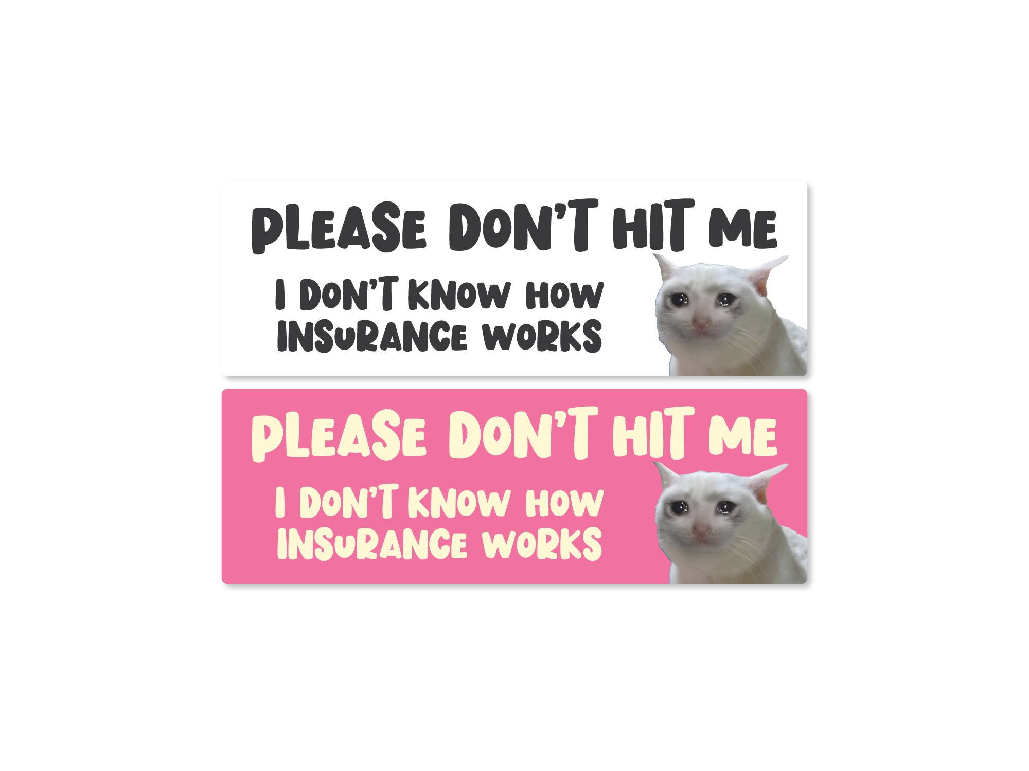 Two stickers with a cat and text message 'Please don't hit me I don't know how insurance works' on a white background.