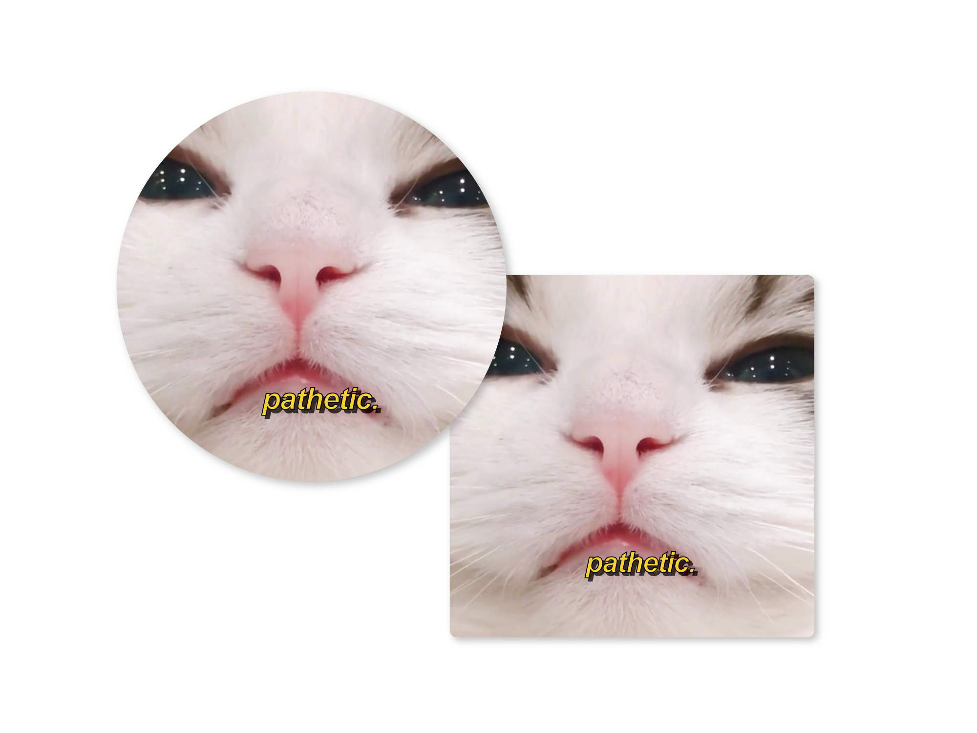 Two images of a cat's face with the word 'pathetic' on a white background