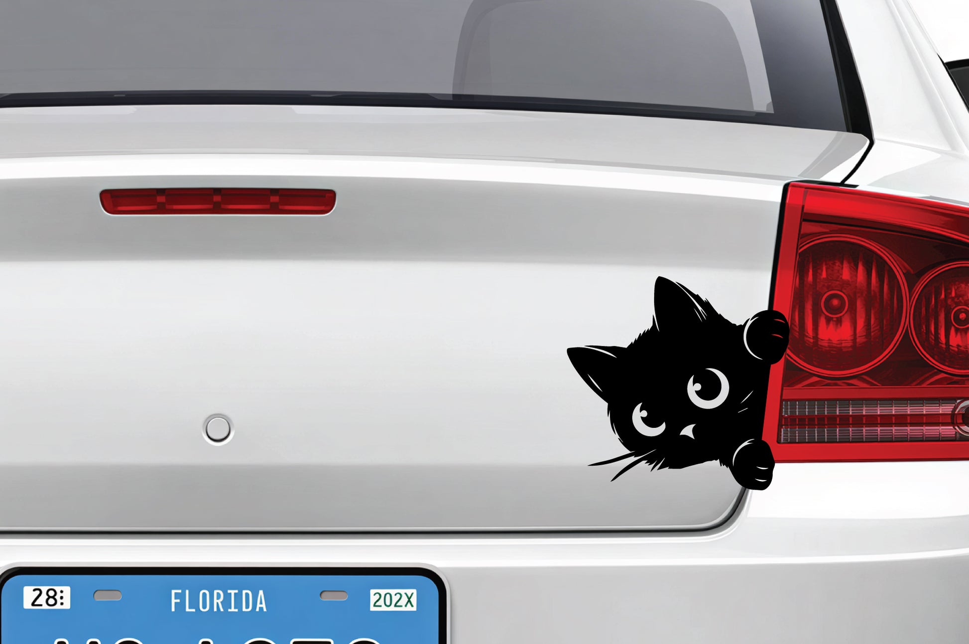 Cute peeking kitten vinyl decal shown in solid and outlined styles, designed for car windows and available in multiple color options.