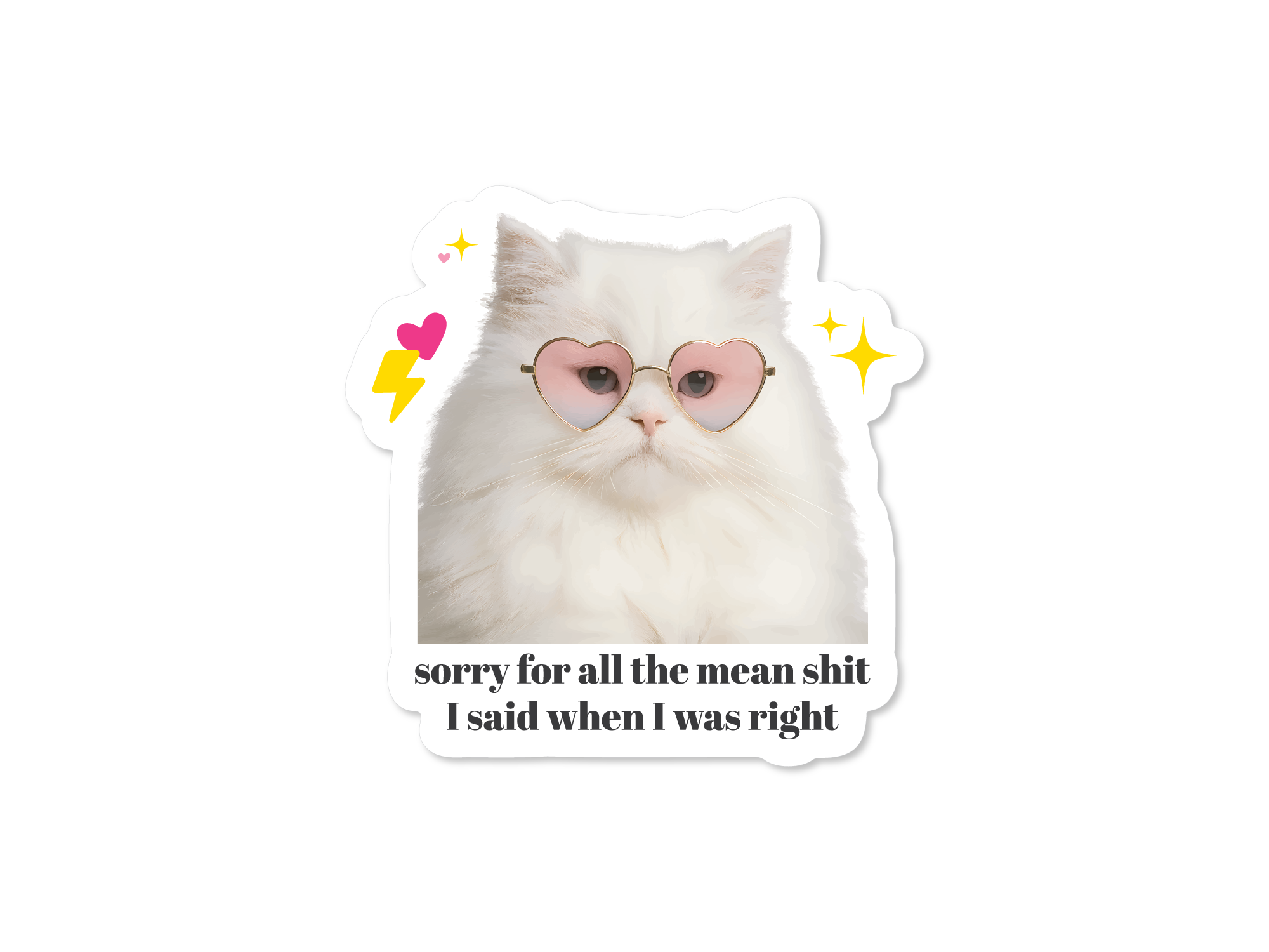 Cat wearing heart-shaped sunglasses with text 'sorry for all the mean shit I said when I was right' on a white background