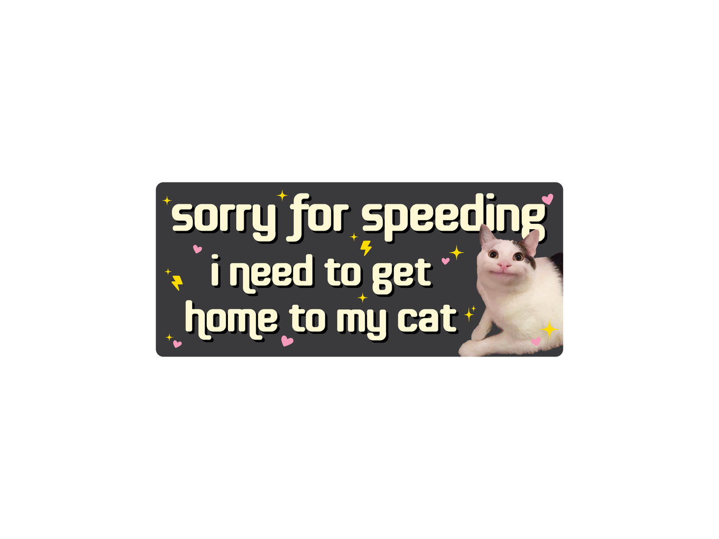 Sorry For Speeding 7" Funny Cat Bumper Sticker, weatherproof