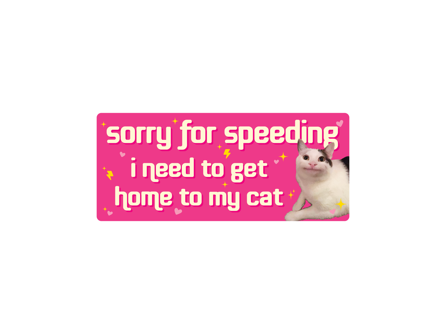 Sorry For Speeding 7" Funny Cat Bumper Sticker, weatherproof