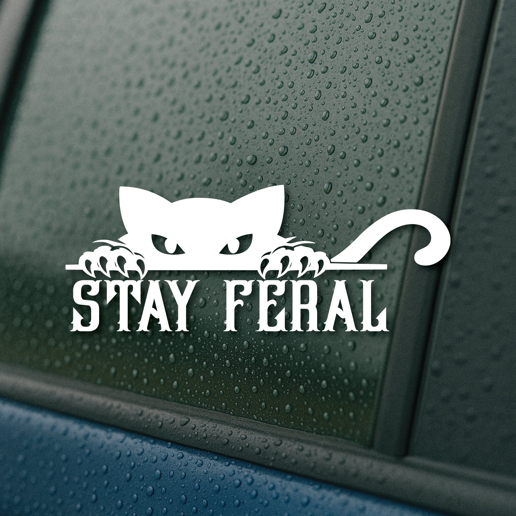 White 'Stay Feral' cat decal on a wet car window