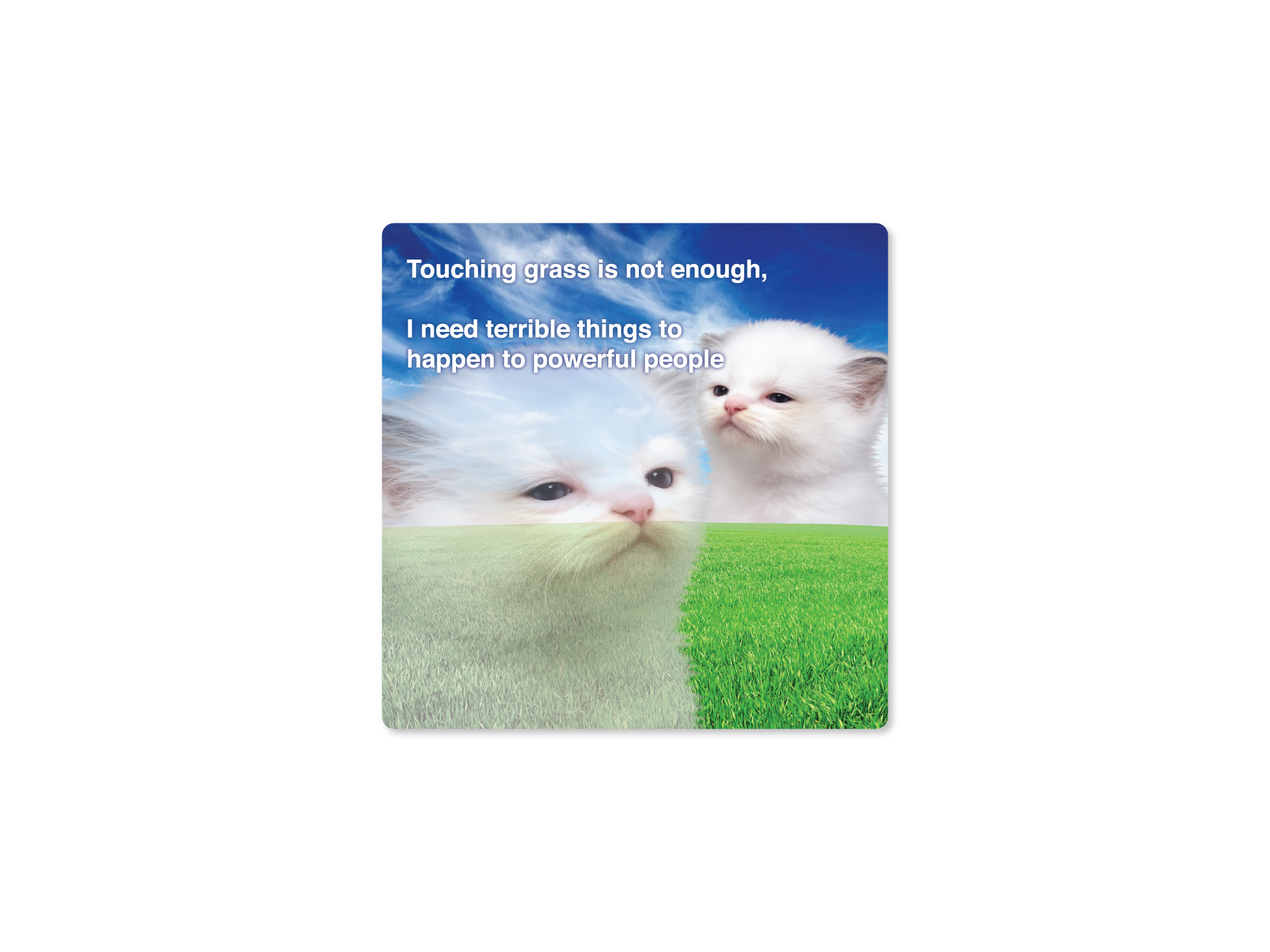 Two cats on grass with a humorous quote about powerful people.