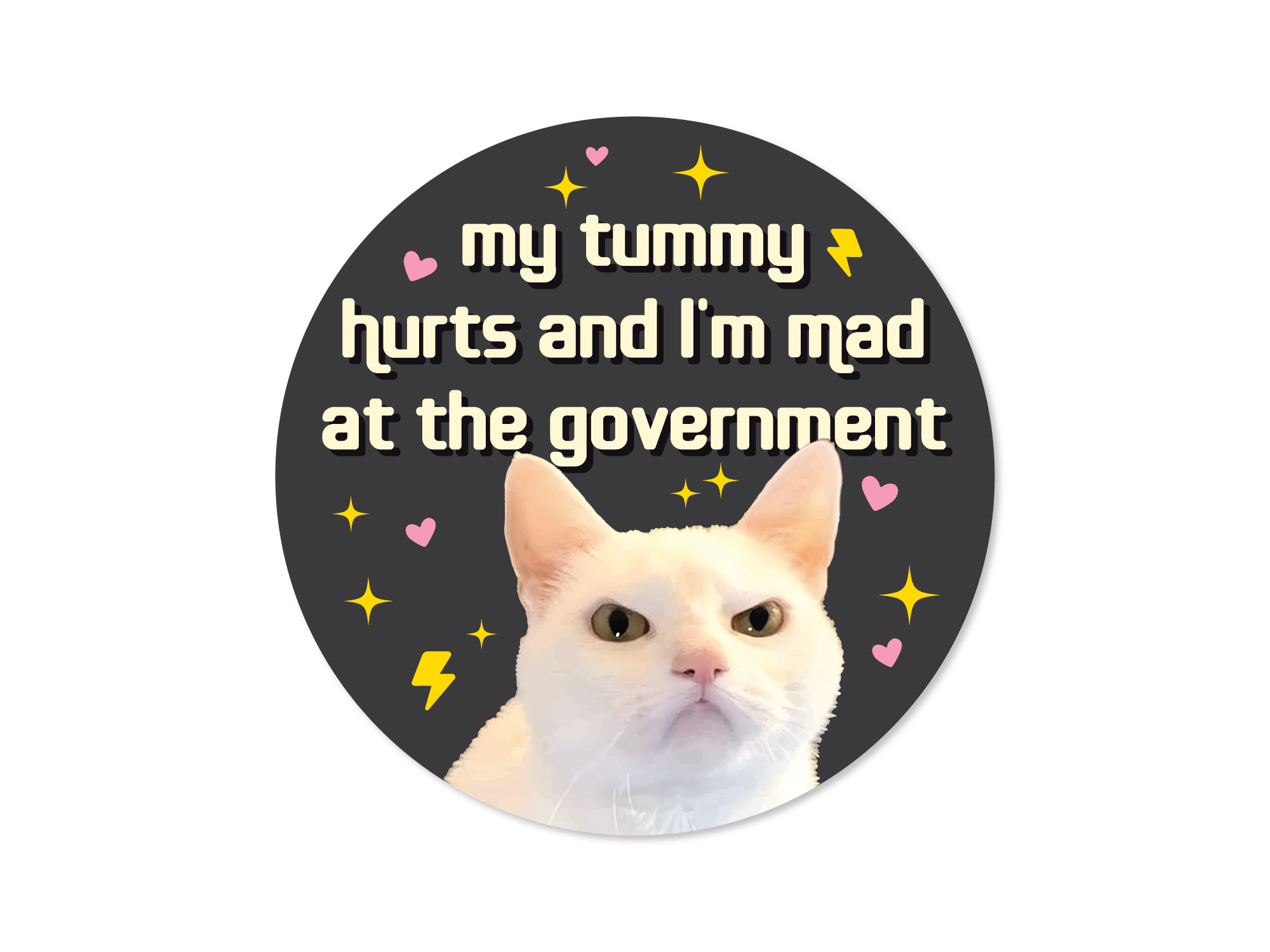 round vinyl sticker options, black featuring a serious white cat with hearts, sparkles, lightning bolts, and the phrase “my tummy hurts and i’m mad at the government.”
