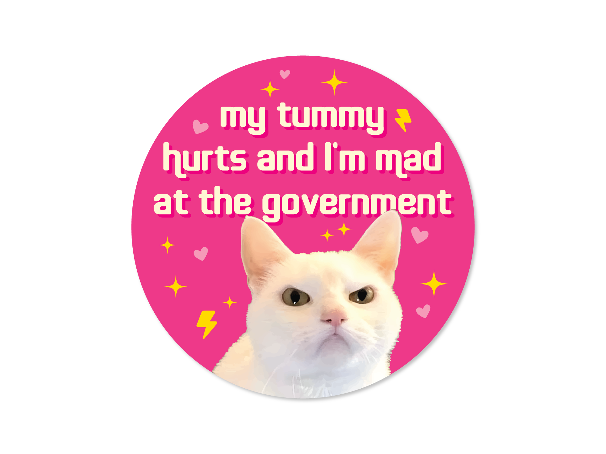 round vinyl sticker options, pink featuring a serious white cat with hearts, sparkles, lightning bolts, and the phrase “my tummy hurts and i’m mad at the government.”
