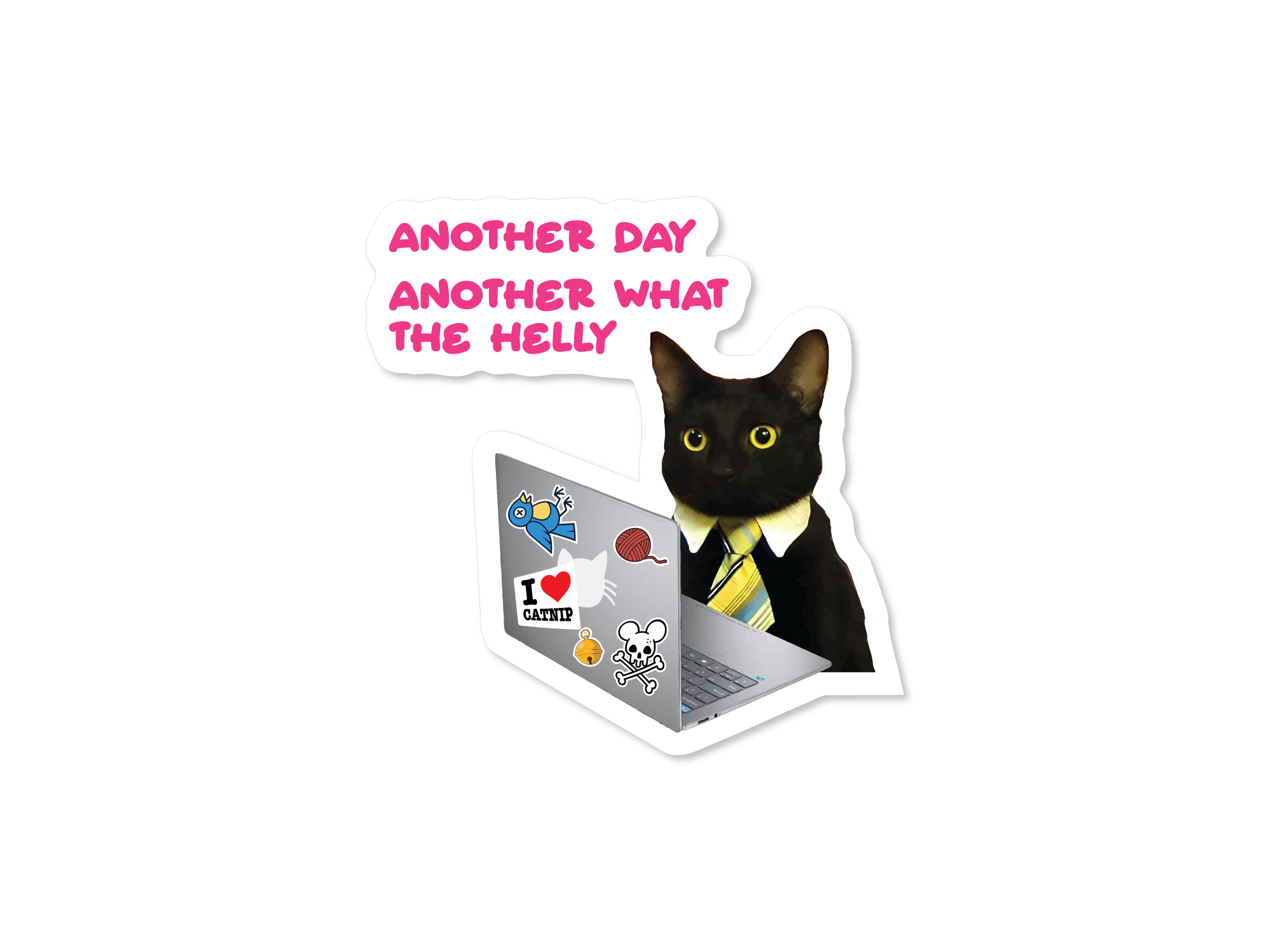 Black cat in a shirt and tie sitting behind a laptop with pink text that says “Another day another what the helly.”