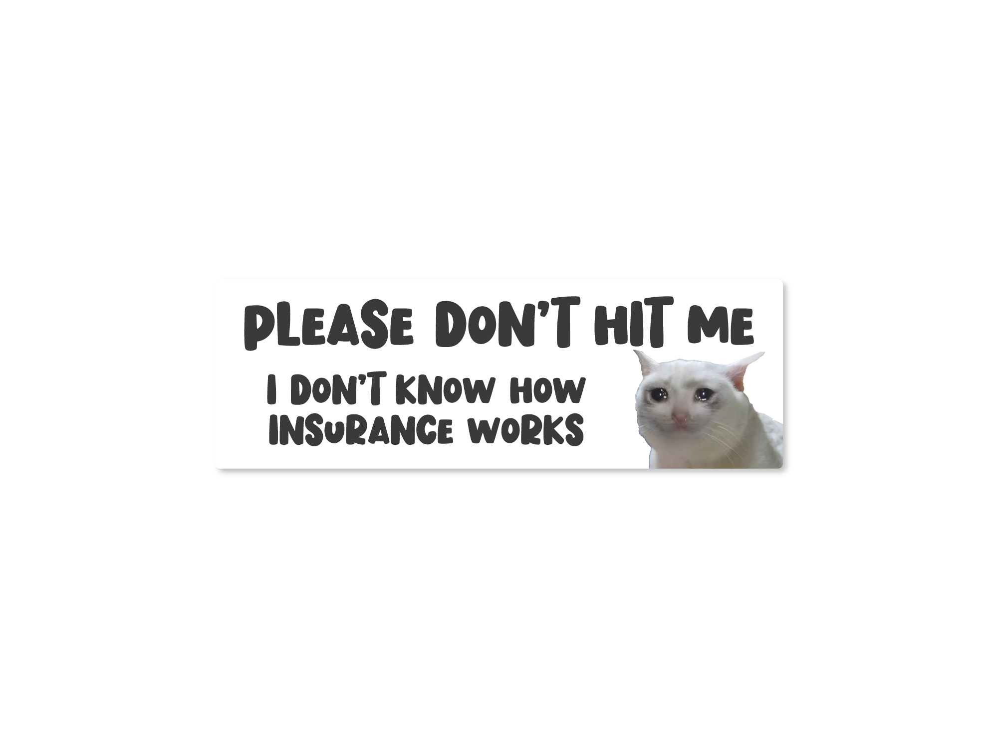A vinyl bumper sticker with a white background featuring a teary-eyed cat and the text 'Please Don't Hit Me, I Don't Know How Insurance Works'.