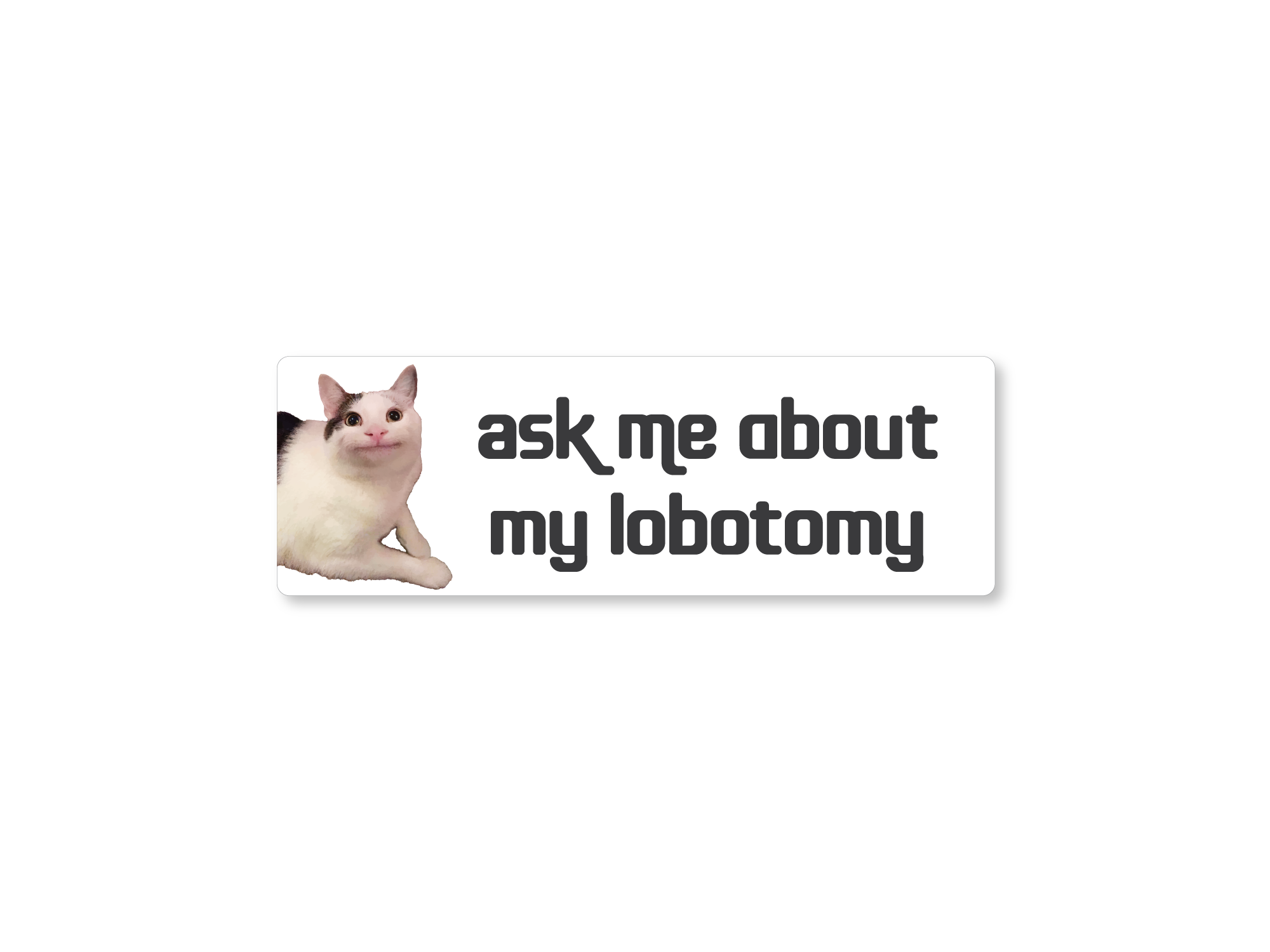 White rectangular bumper sticker featuring a calm white and gray cat on the left with dark gray text that says “ask me about my lobotomy.”