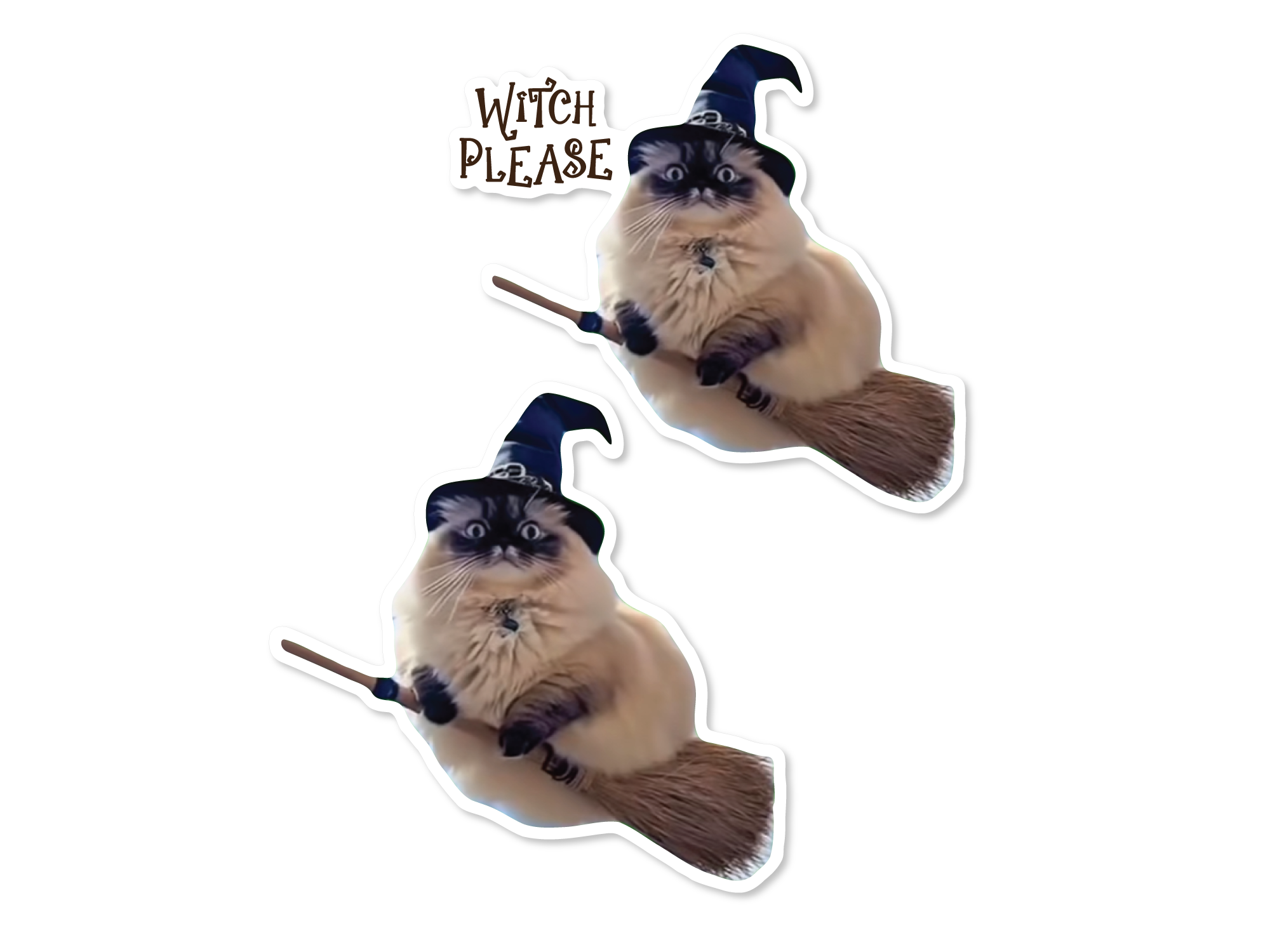 Two flying witch cat vinyl sticker options featuring a fluffy cat wearing a blue witch hat and riding a broom, one with “Witch Please” text and one without text.
