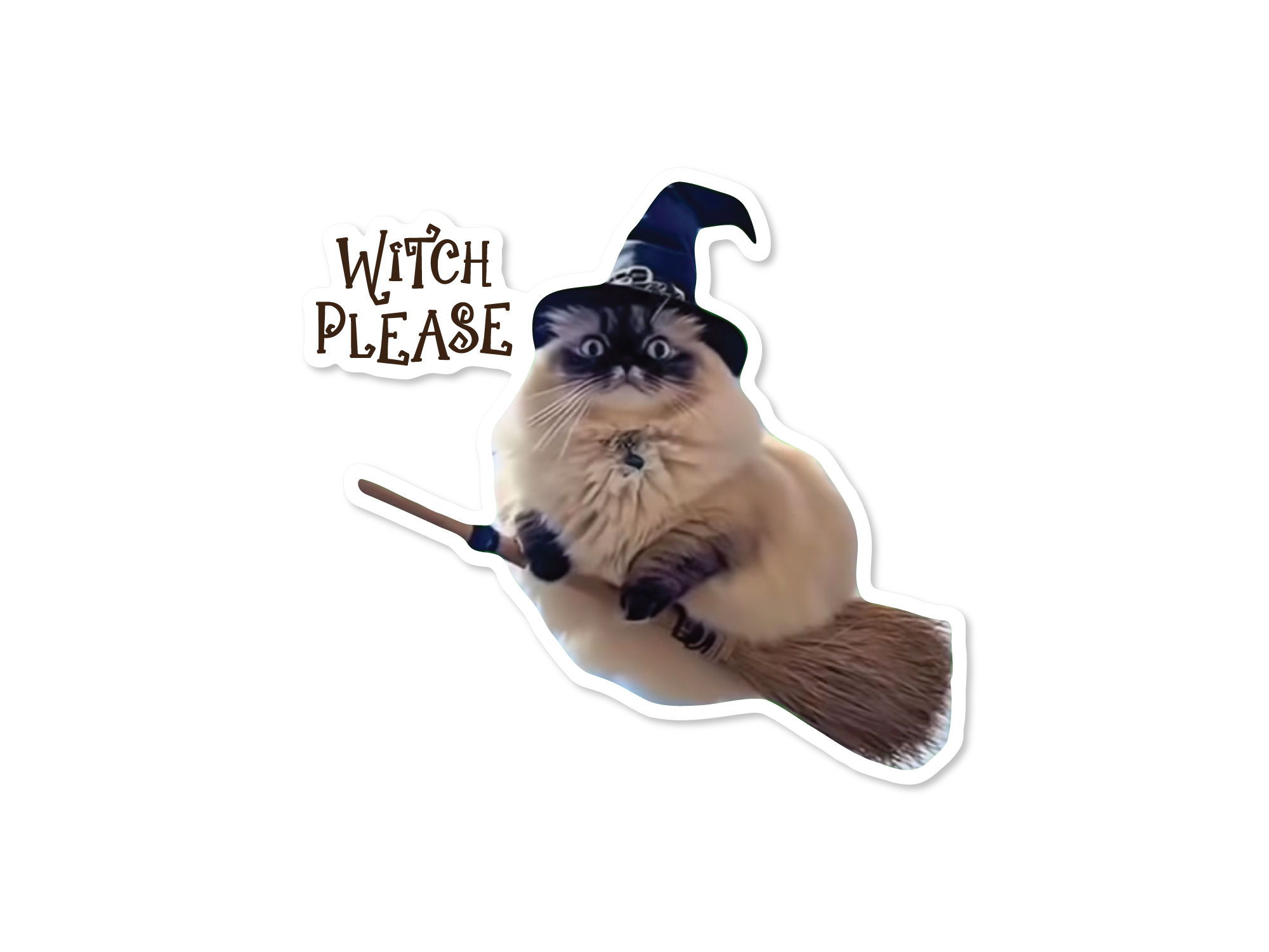 Cat wearing a witch hat with 'Witch Please' text and holding a broomstick on a white background