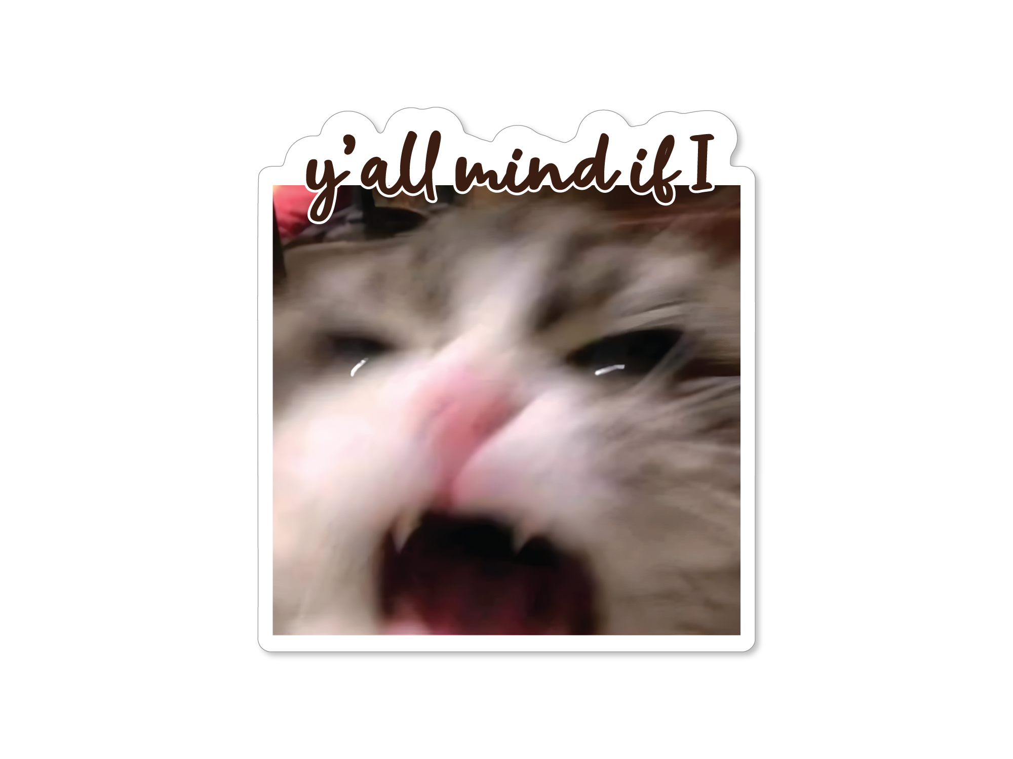 A sticker with an image of a cat mid-scream, with the text 'y'all mind if I scream?' in pink above the cat.