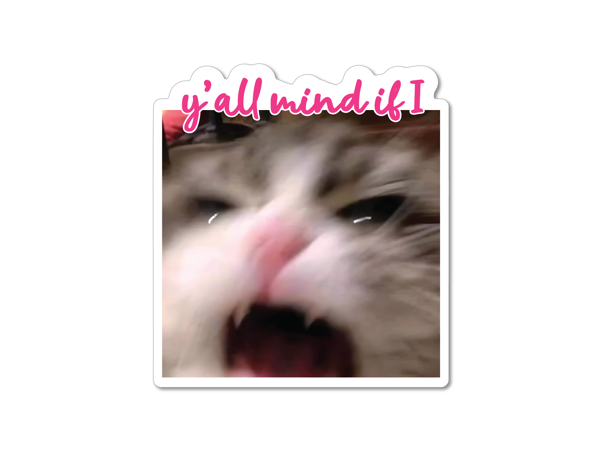 A sticker with an image of a cat mid-scream, with the text 'y'all mind if I scream?' in pink above the cat.