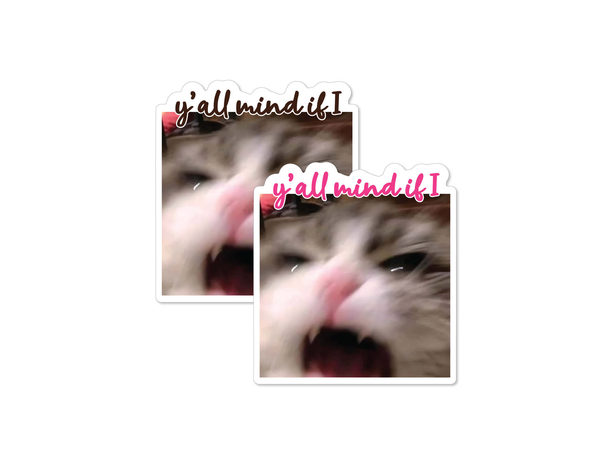 Two stickers with a cat's face and 'y'all mind if I' text on a white background.